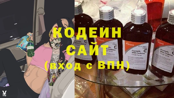 дживик Пересвет