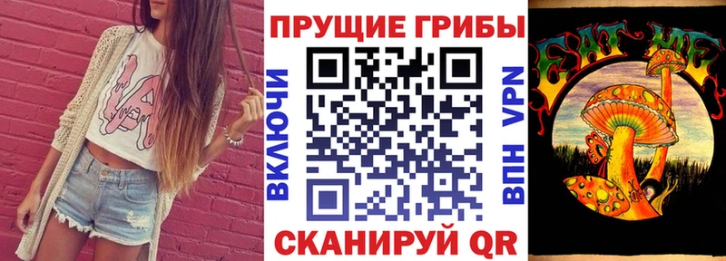 Псилоцибиновые грибы мухоморы  купить наркотик  Беломорск 